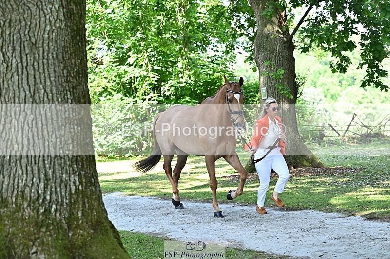 250521A-153746-00644 - B-370-Emma.Hyslop-Webb-KBS.TIME.TRAVEL