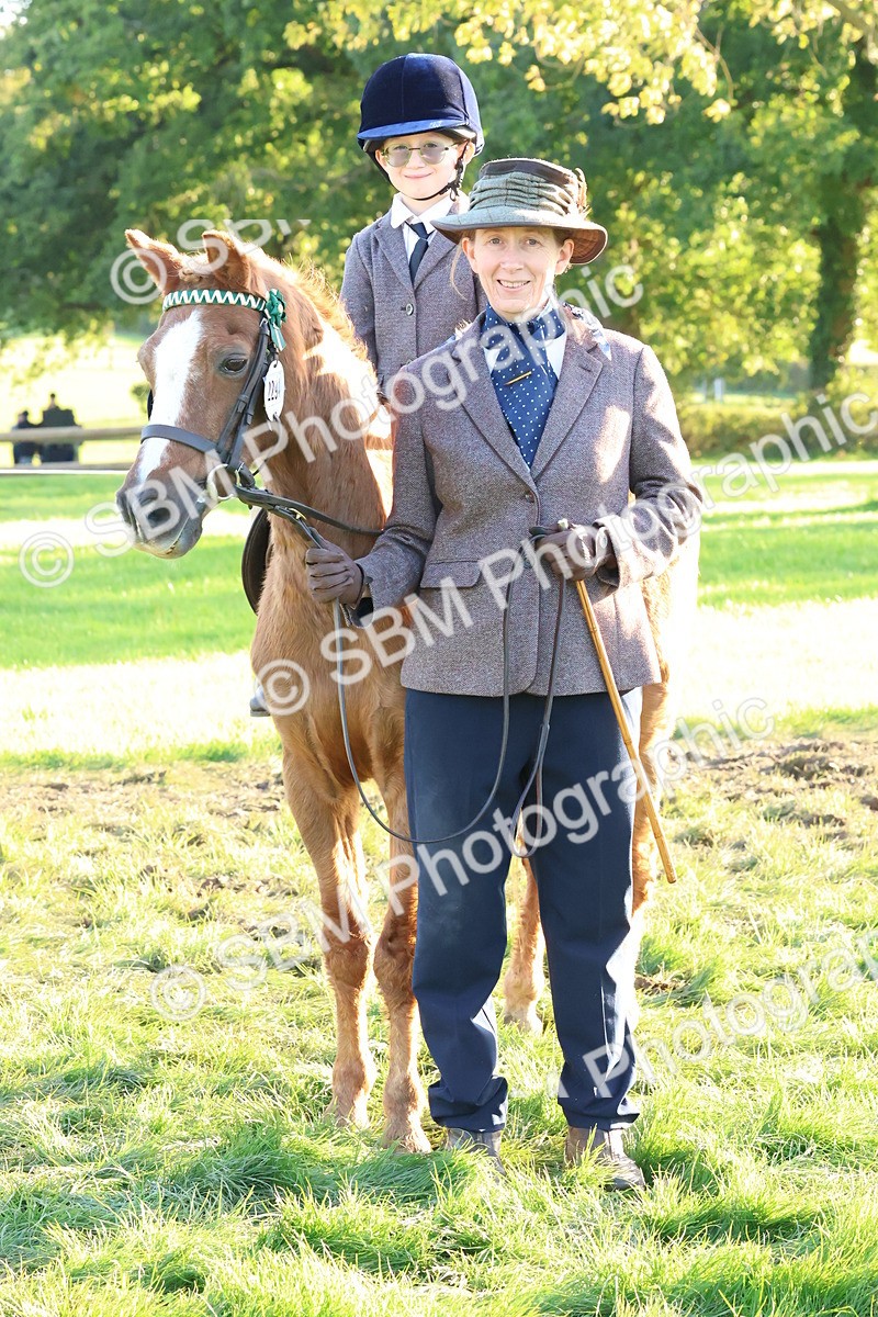 SBM_53046 - S29 - Mature Veteran Ridden