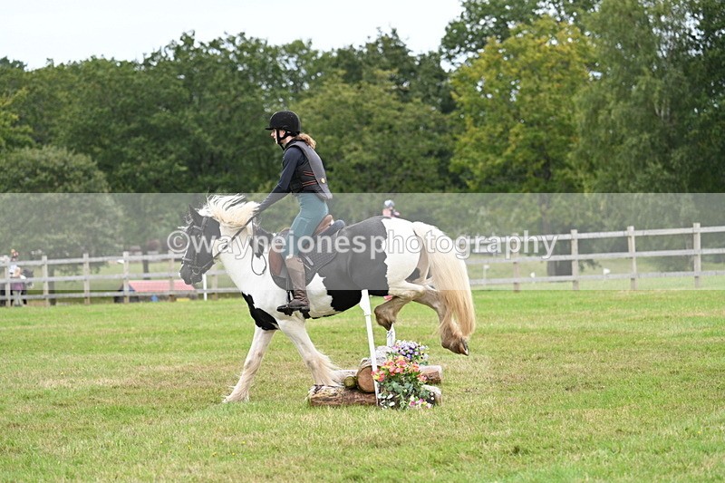 WJ7_7766 - 40cm Time 10:49 to 11:18