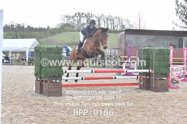 BPP_0186 - CLASS 1 FRI Club/ Unaffiliated 80cms Open