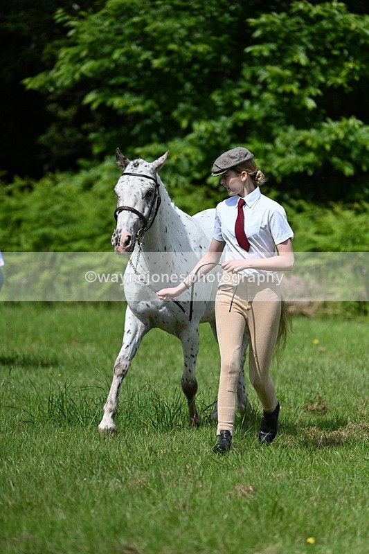 WJ7_1301 - Class 11 Condition & Turnout