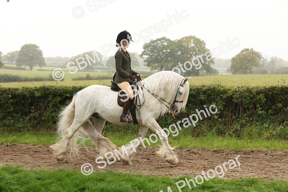 SBM_72671 - S70 - Traditional Cob Ridden