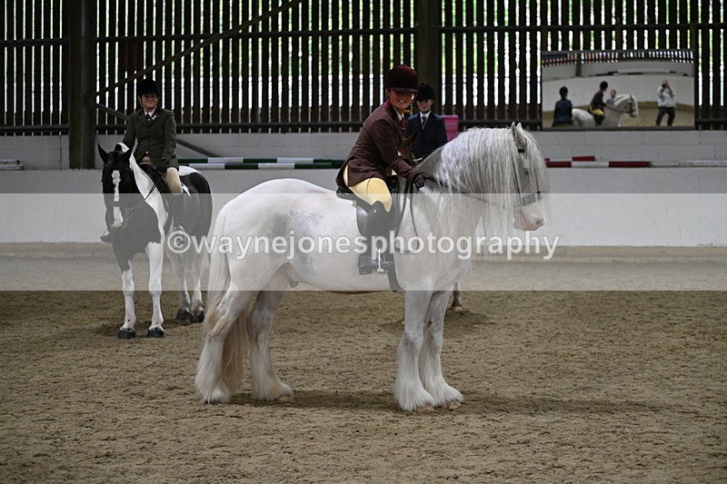 WJ7_4258 - Class 17 Ridden Cob