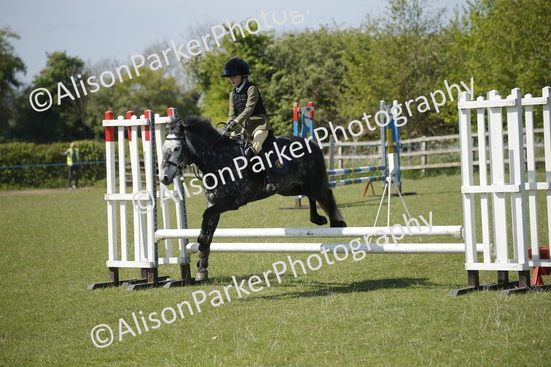 20250427-2314 - Class 13 - Novice Jumping 60cm