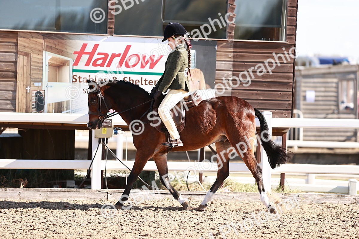 SBM_12493 - Class 403 - Grassroots Ridden - Junior
