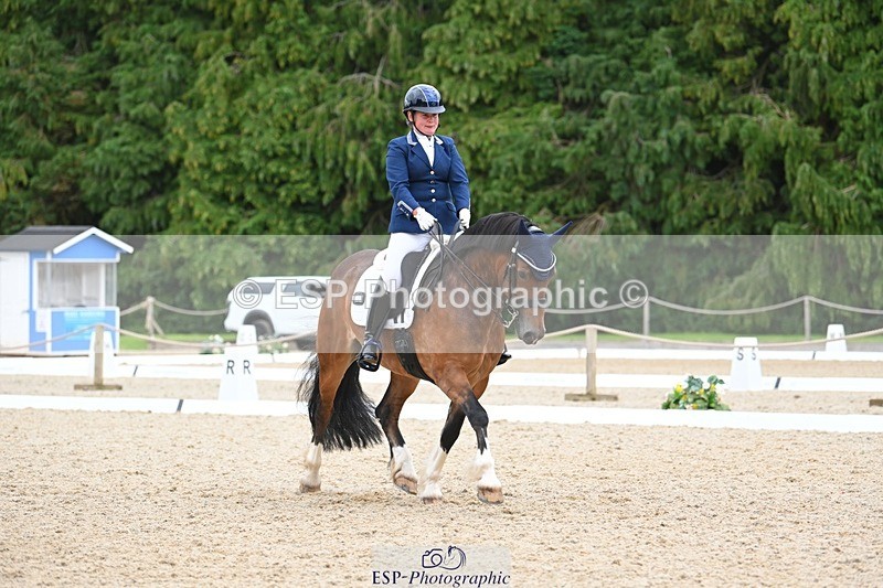 230813-142211-07745 - Cls 13 Medium Bronze 13.15 to End