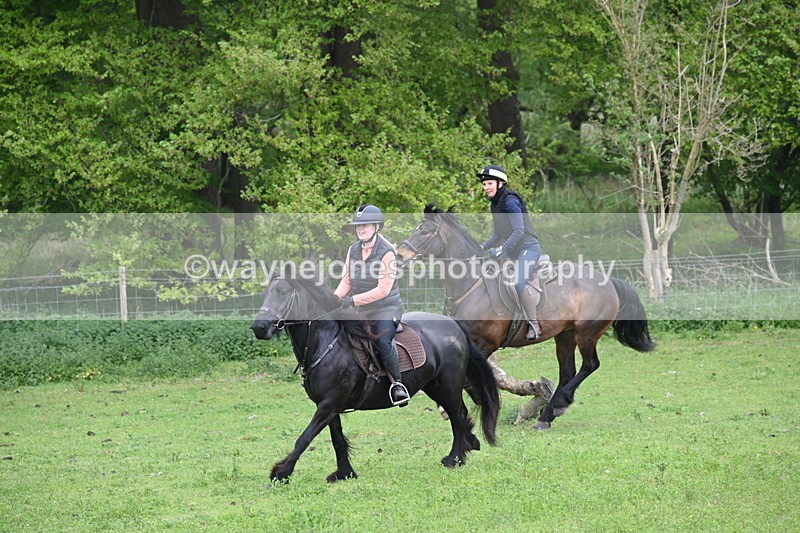 WJ6_2675 - A camera