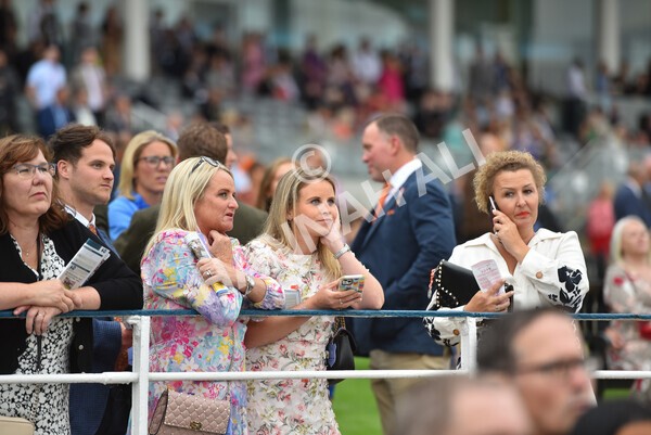 yr22072022r5-39 - Race 5 7.20pm British Stallion Studs EBF Lyric Fillies' Stakes