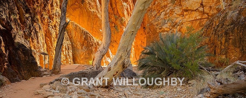 Standley Chasm West MacDonnell Ranges - Australia