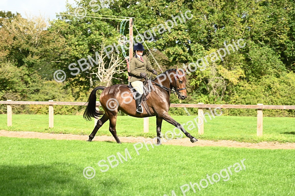 SBM_01780 - S2 - TSR Ridden Horse Showing