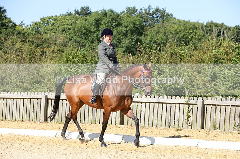 1X9A7900 - Class 10:Riding Horse