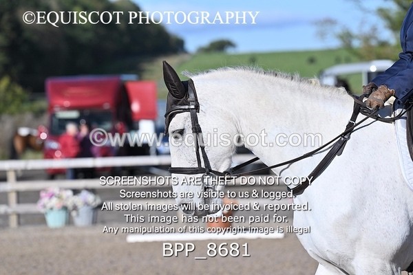 BPP_8681 - SHORT ARENA