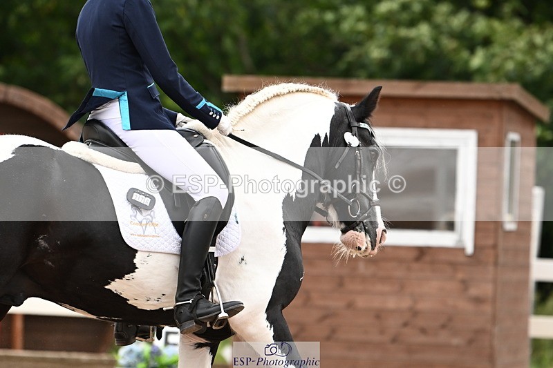 240815A-142754-02035 - 276-Alys.Matravers-Tiger.Tim