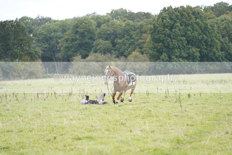 _DSC7907 - Time at Photographer 11:57 to 12:36