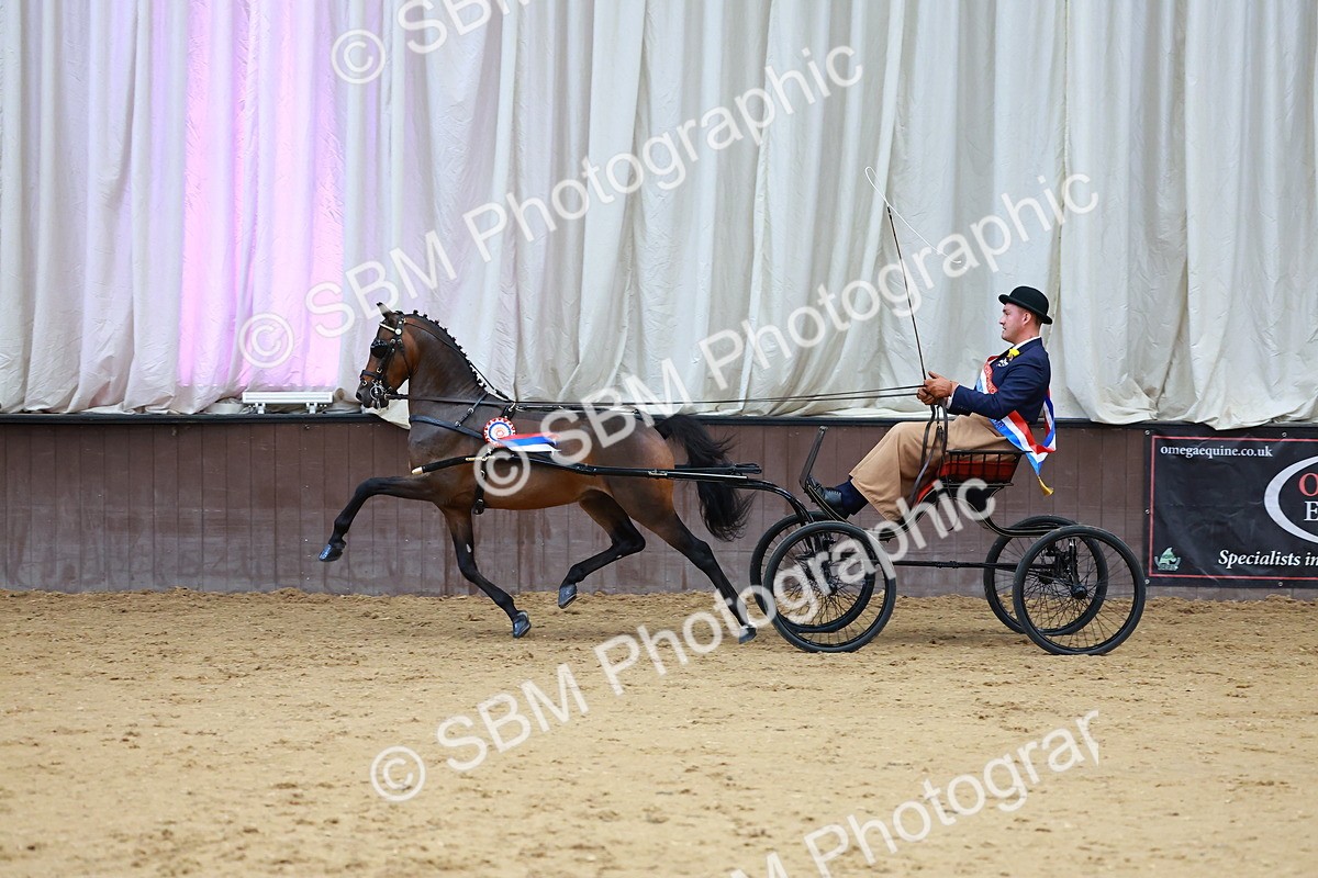 SBM_000677 - Class 9 - HHS Championship Intl Hackney Pony to a Showwagon