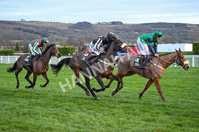 141224-Race 6-Western Knight-2186 - Race 6