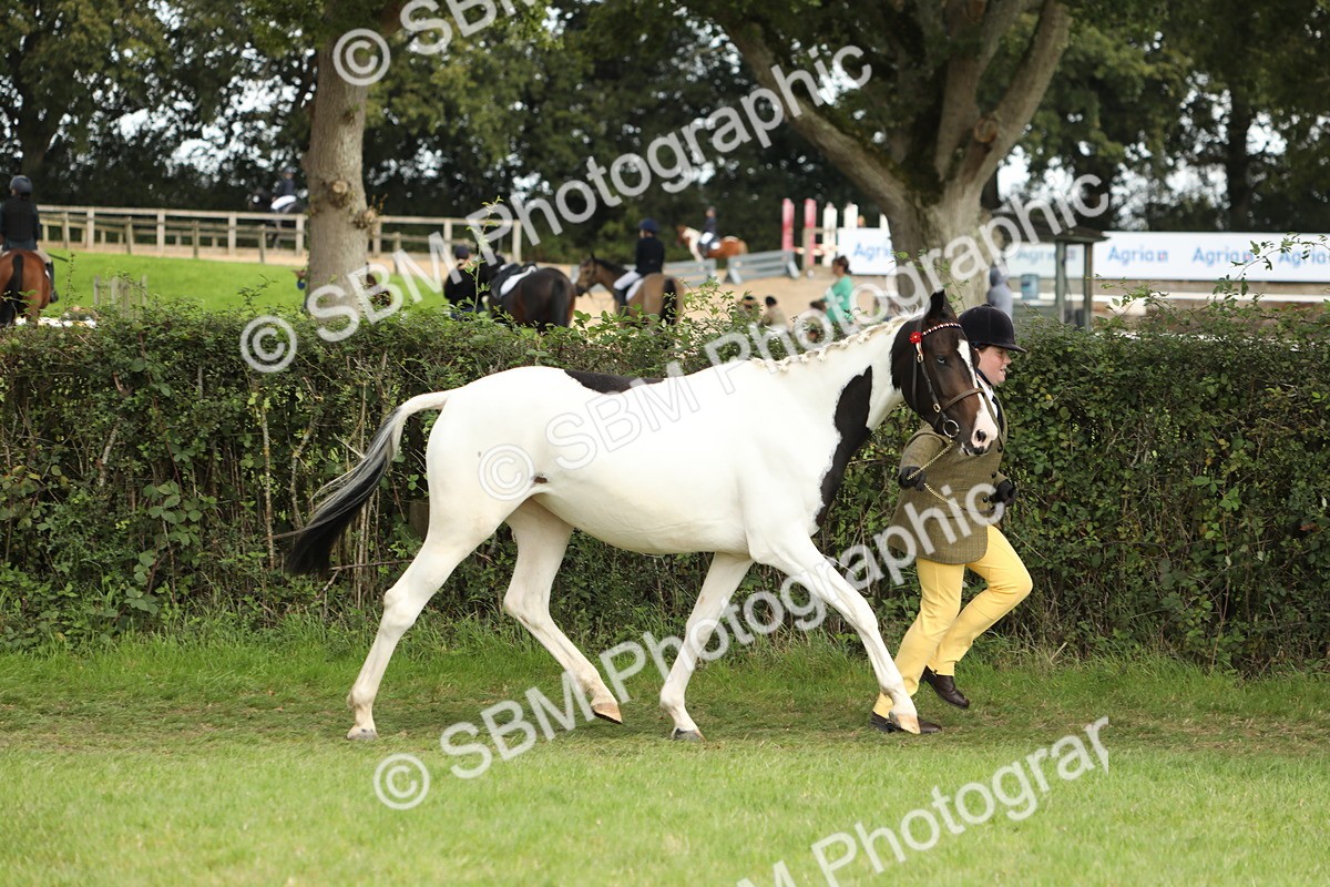 SBM_68544 - S40 - Junior Handler 9-12 Years
