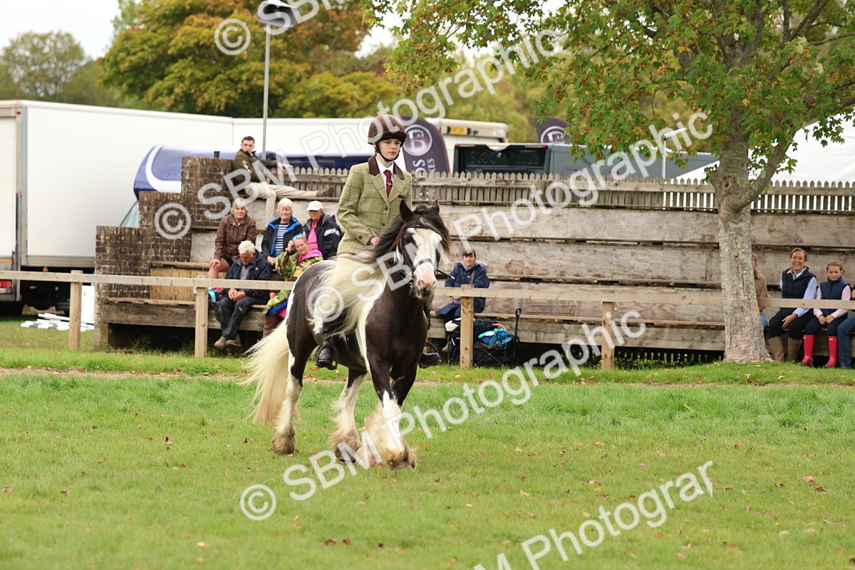 SBM_64542 - S58 - Coloured Pony Ridden