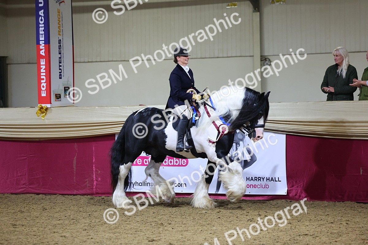 SBM_19251 - Class J Coloured Champ