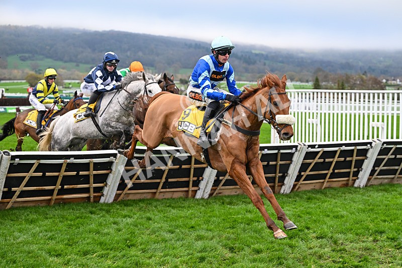 151125-Race 1-One Horse Town-2059 - Race 1