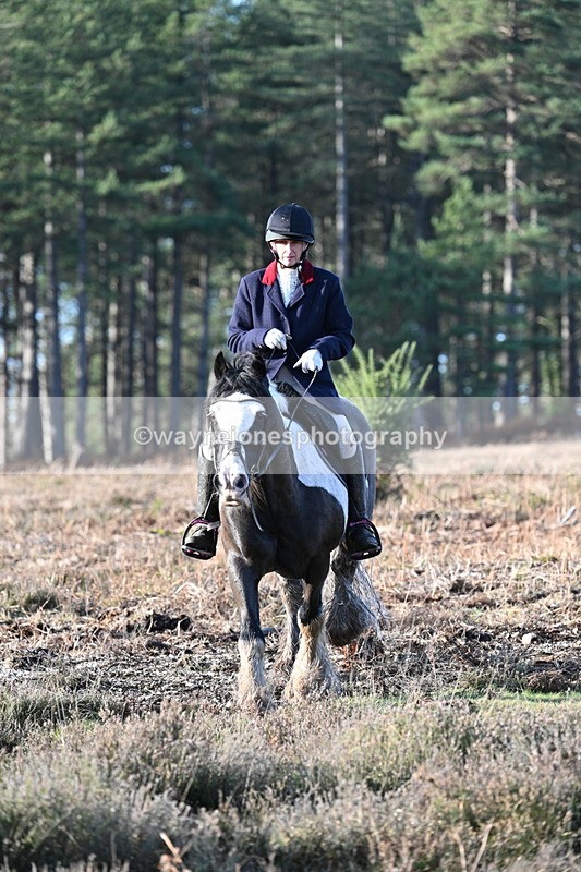 WJ7_7296 - Line 3 (no line 4 or 5)