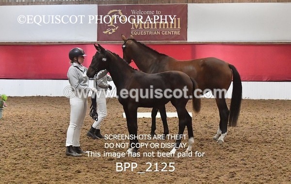 BPP_2125 - AFTERNOON 12.30 - 3.30PM