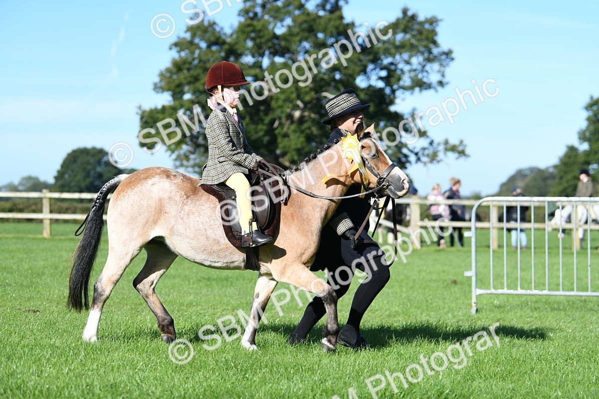 SBM_35520 - S17 - Condition & Turnout - Lead Rein