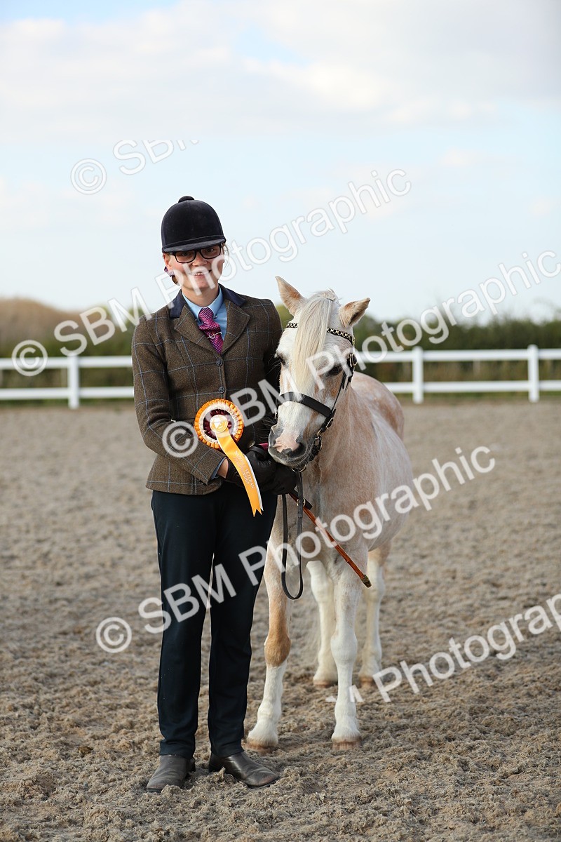 SBM_09100 - Class 29 IH Veteran Pony