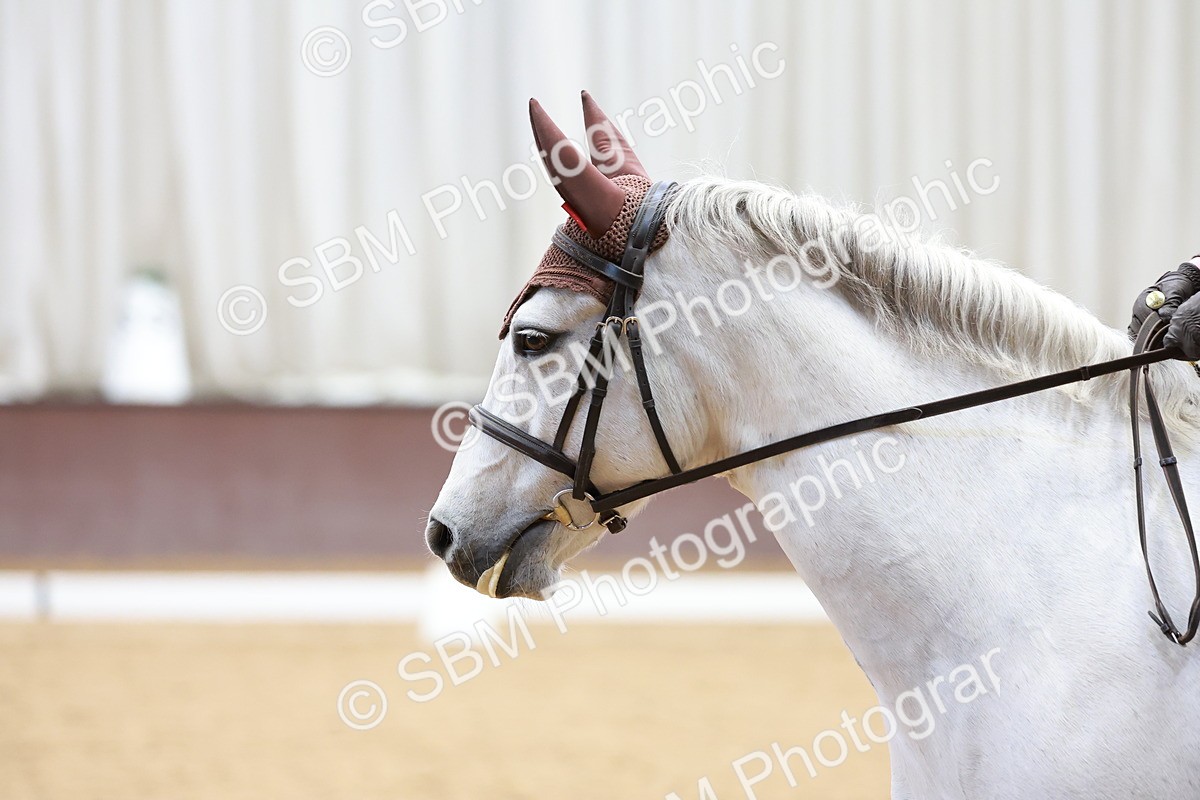 SBM_003519 - Class 15-16-18 - Novice 3-Elementary 1-PYO