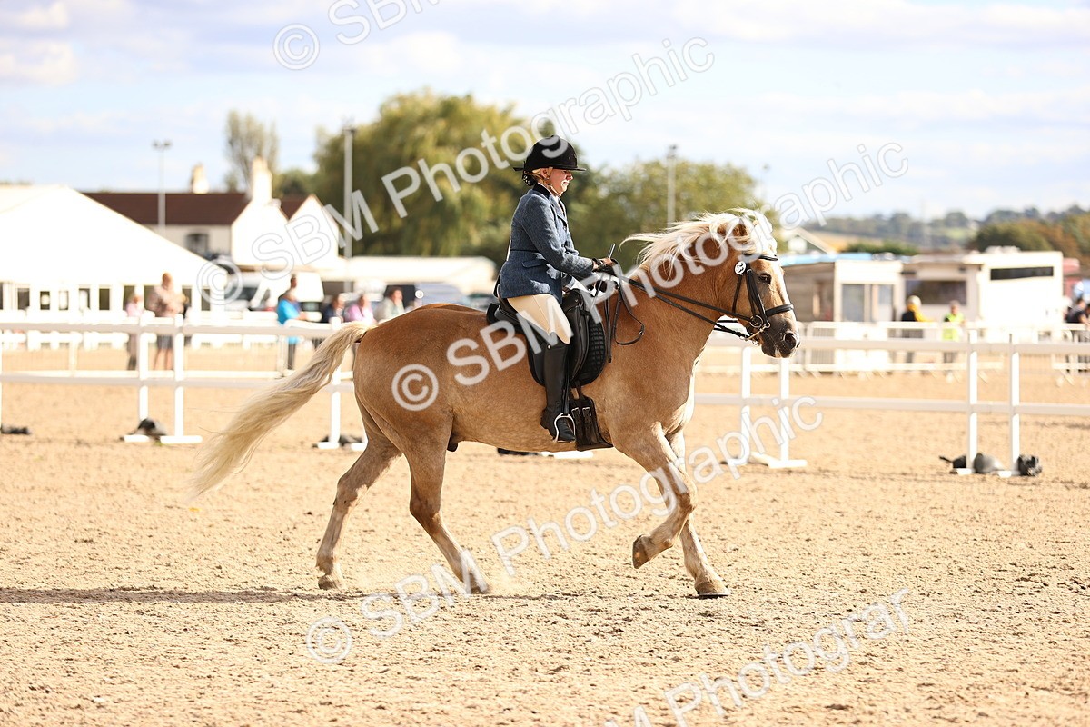 SBM_18229 - Class 423 - Equitation (best rider) Adult