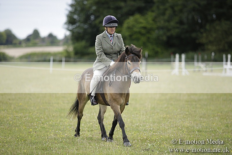 BVR160717-1300 - Ring 1 BVRC Show 16/07/17