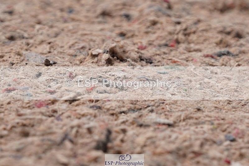 250510-123622-11307 - Cls 15 Prestige Big Star Quali  1st Jump Off