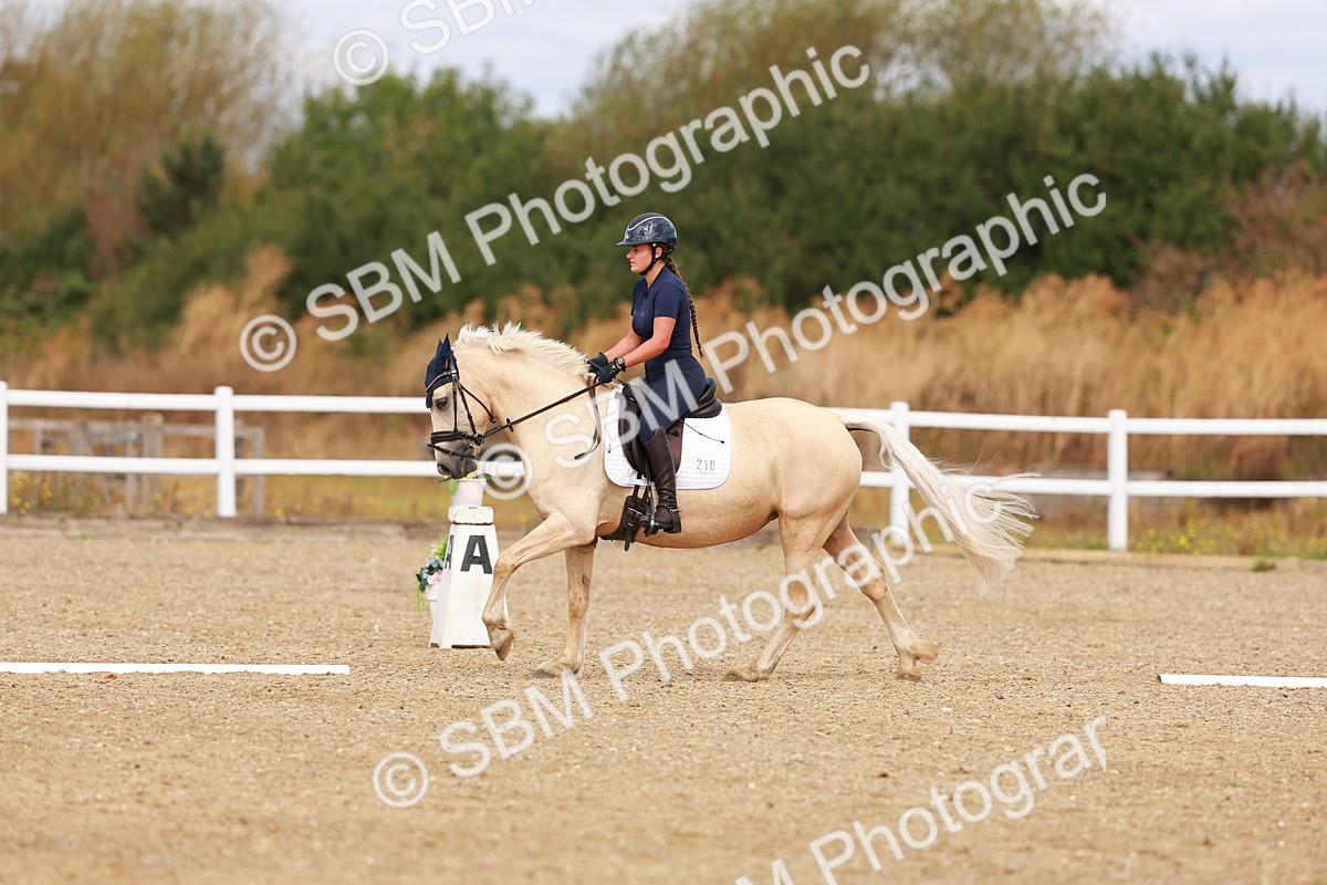 SBM_009786