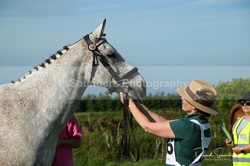 DSPX2116 - Friday vetting