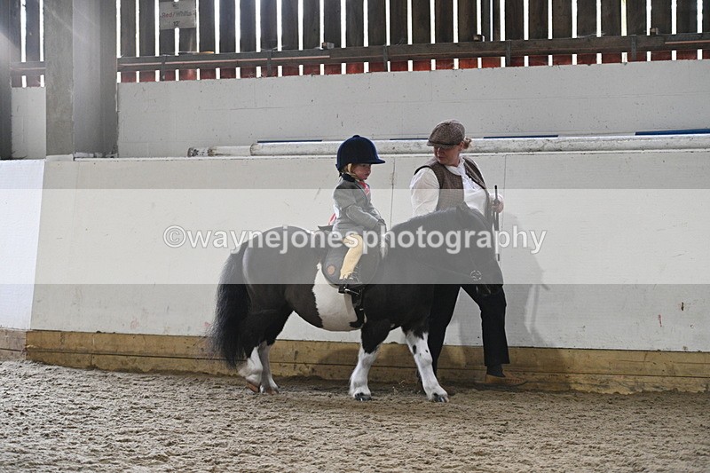 WJ7_4451 - Afternoon Champs