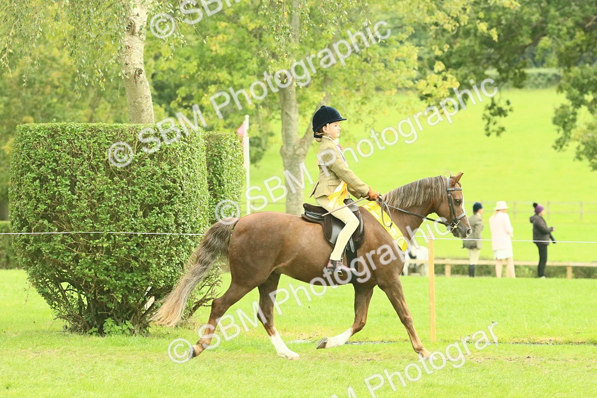 SBM_74980 - Ridden Pony Supreme Championship