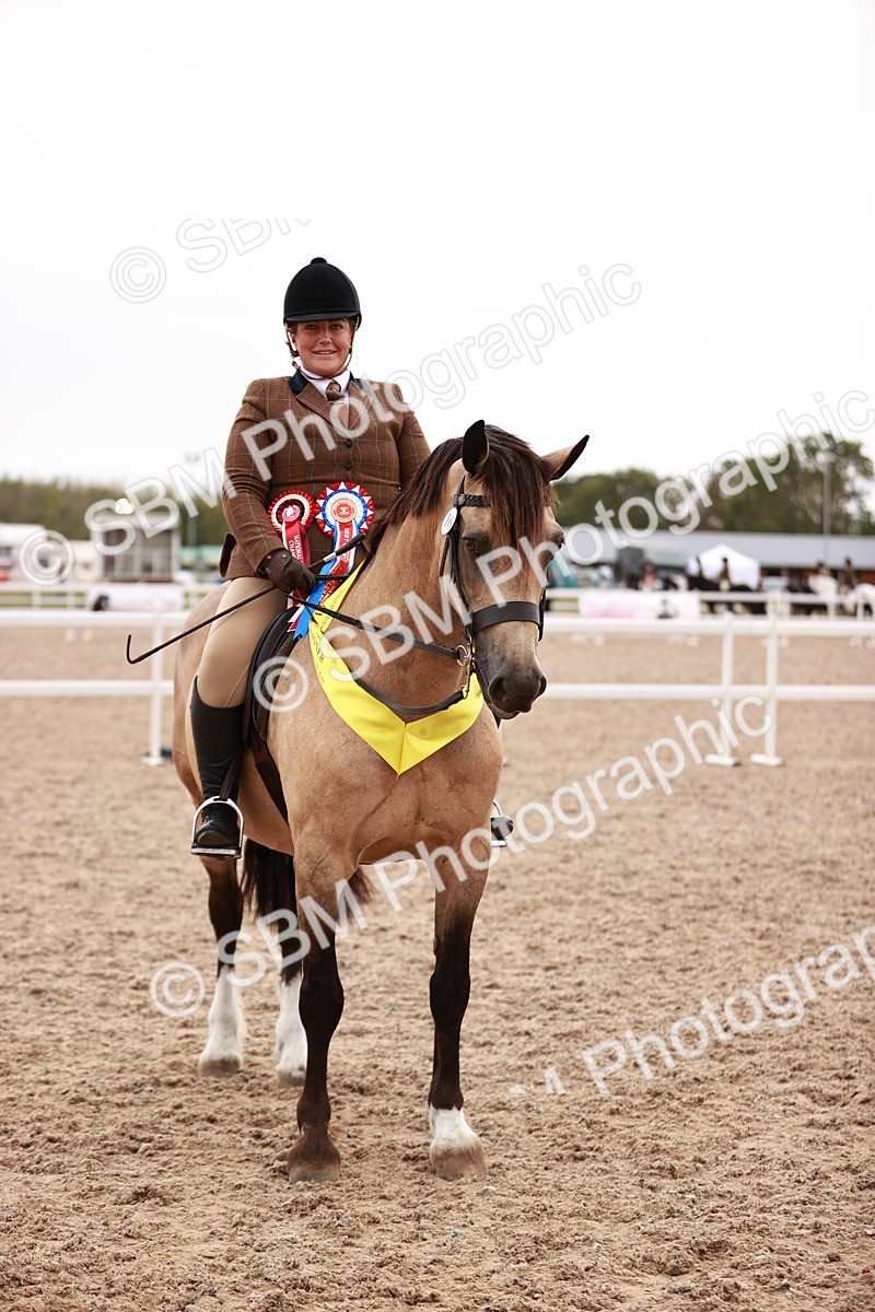 SBM_19081 - Class 422 - Ridden M&M