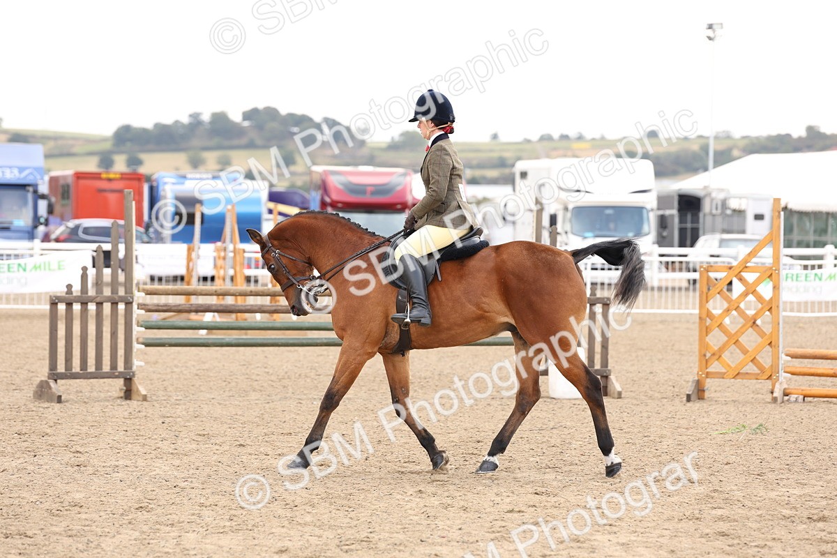SBM_04220 - Class 54 - Riding Club Horse/Pony