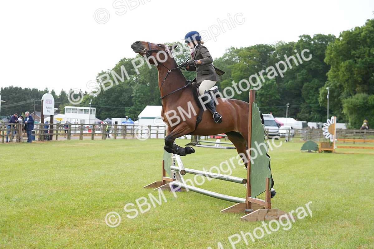 SBM_10460 - Class 97-98 - LIHS BSHA Rising Star Working Show Horse Hunter