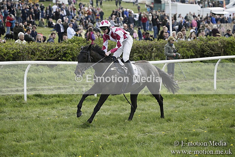 PtP 170417 365 - Old Berks Point-to-Point Lockinge 17/04/17