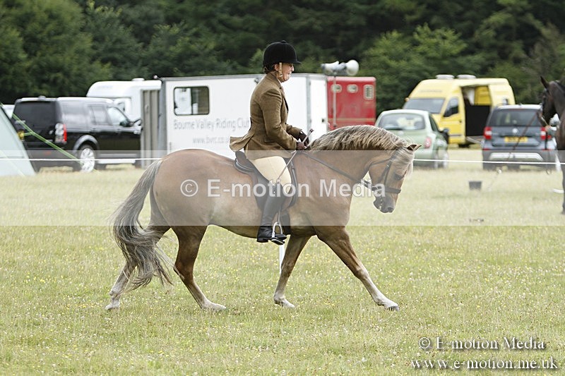 BVR160717-409 - Ring 3 BVRC Show 16/07/17