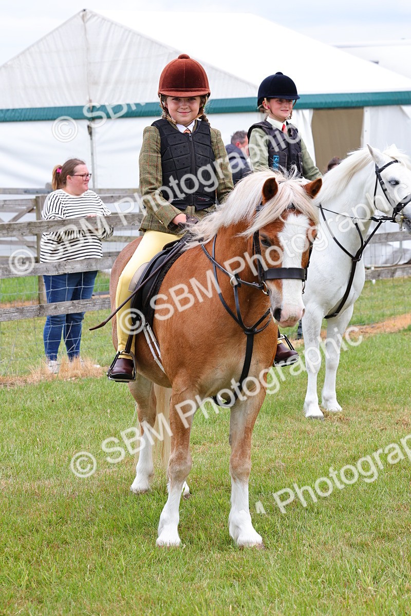 SBM_08809 - Class 42-43 - LIHS BSPS Heritage Working Sports Pony