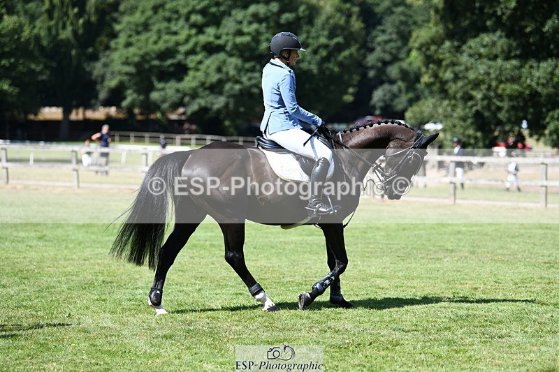 250703A-103726-00509 - Cls 11 5 Year Old