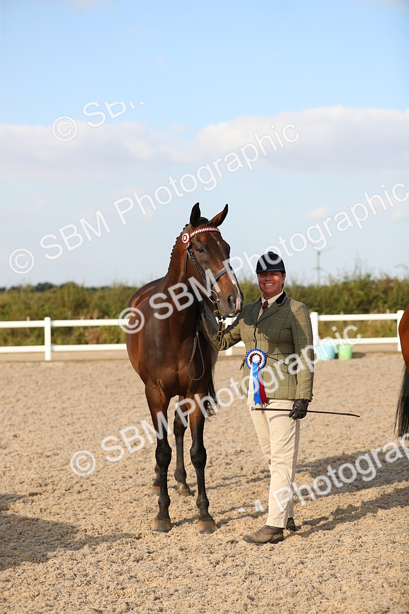 SBM_08680 - Class 28 - IH Veteran Horse