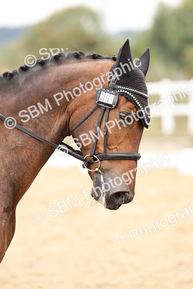 SBM_019719 - Class 18 - Elementary 5