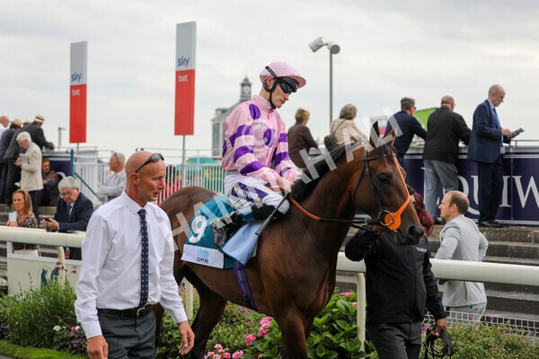 yr18082022r6-19 - Race 6 4.45 pm OR8wellness ebfstallions Nursery Handicap
