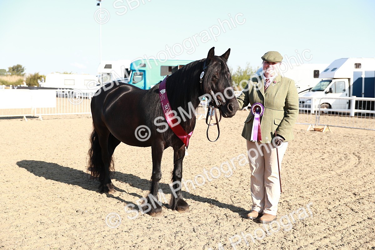 SBM_00153 - Class 40 Best Turned Out IH