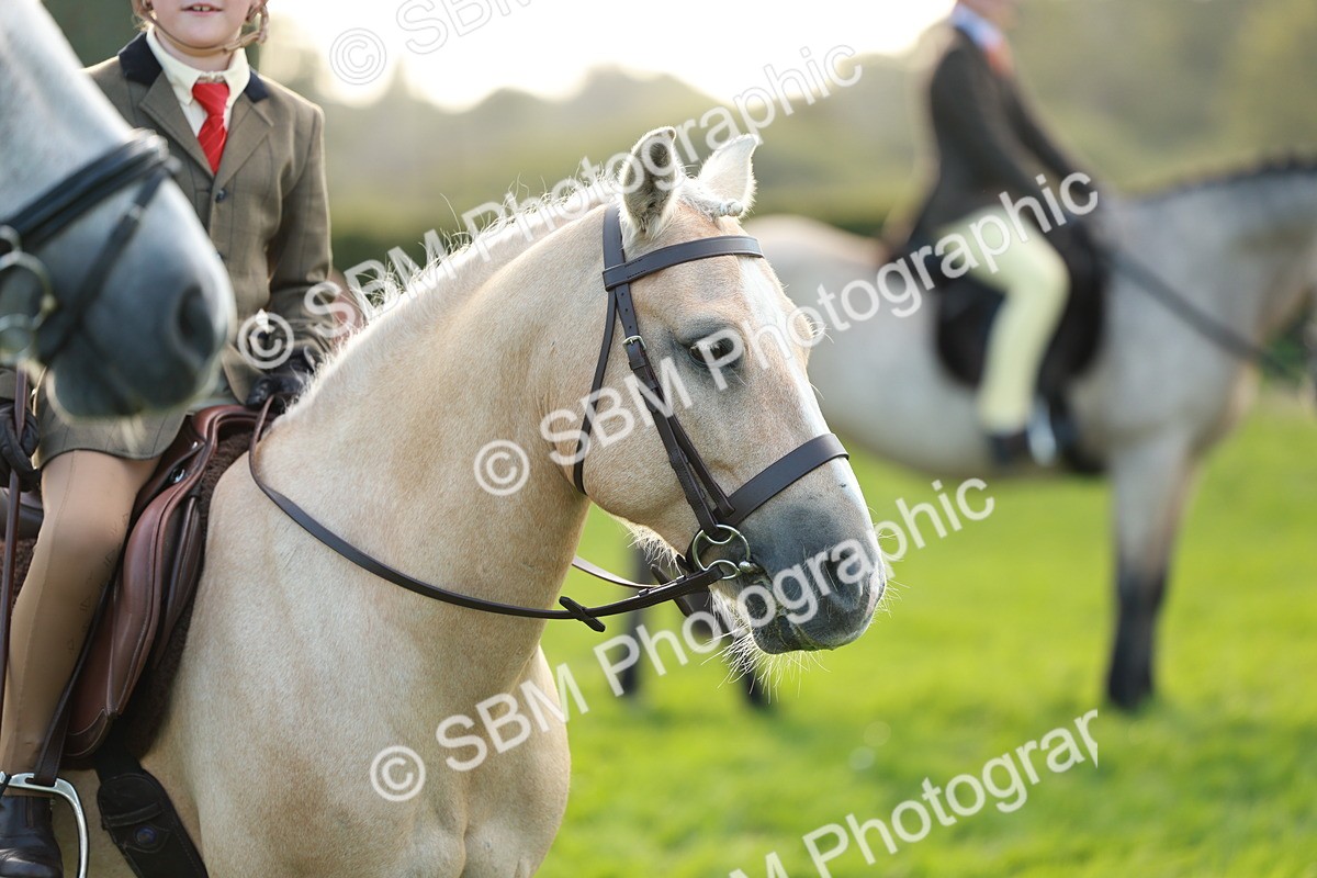 SBM_28813 - S7 - Novice & Newcomer Ridden Pony