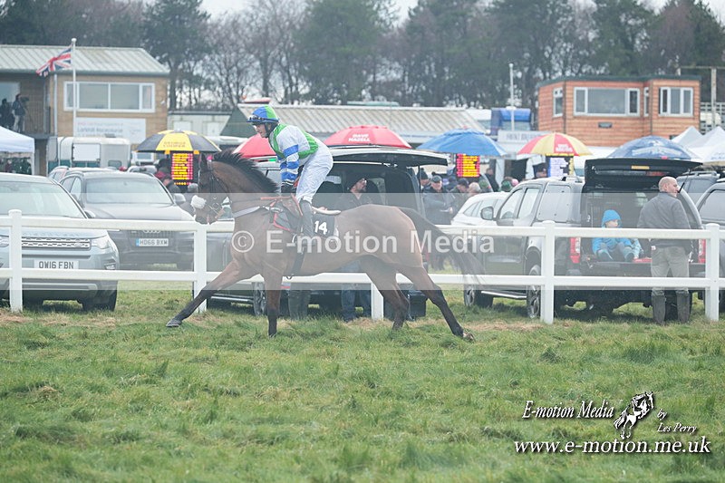PtP 101223 696 - New Forest Hounds PtP Larkhill 10/12/23