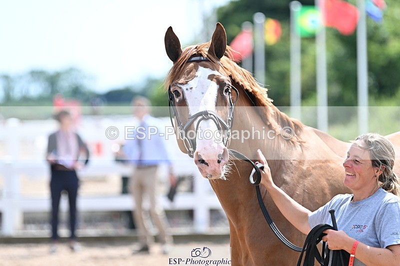 240717A-144803-02299 - Trot Up 2pm to 3pm - This folder is not in time order